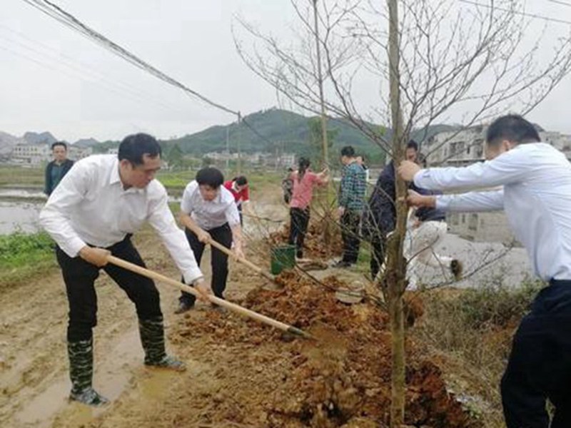 覃塘區進行“興水利、強基本、惠民生、謀發展”活動