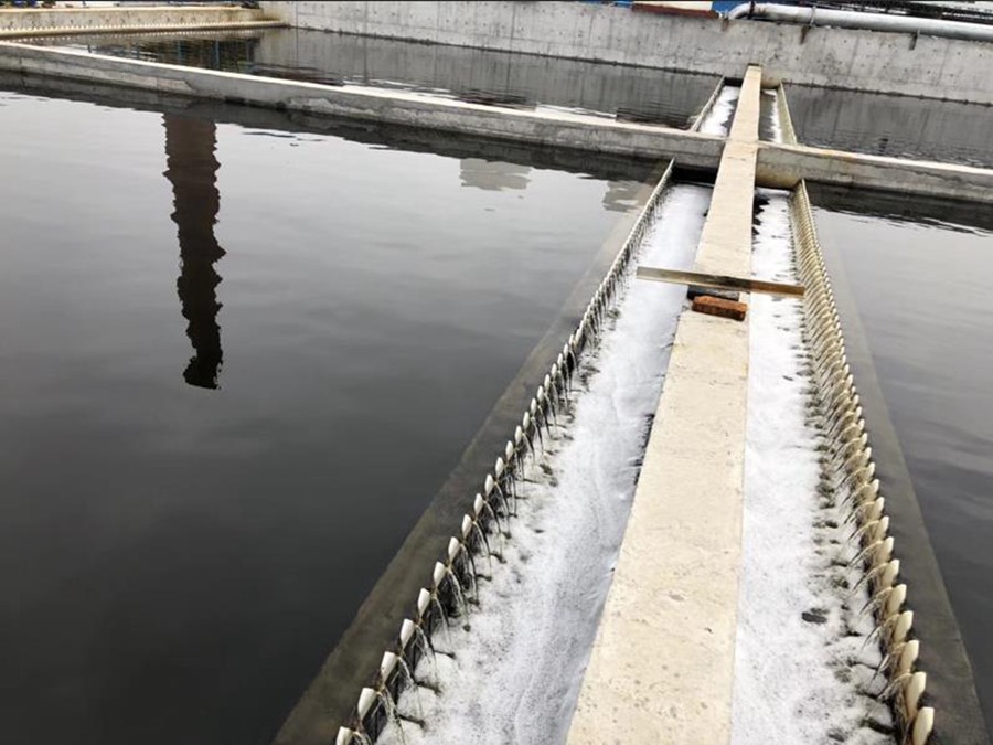 重金屬廢水處理中好氧顆粒污泥的作用是什么？好氧顆粒污泥去除重金屬機理